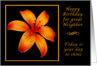 Happy Birthday Neighbor, Today is Your Day, Orange Daylily card