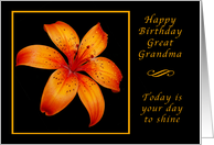 Happy Birthday Great Grandma, Today is Your Day, Orange Daylily card