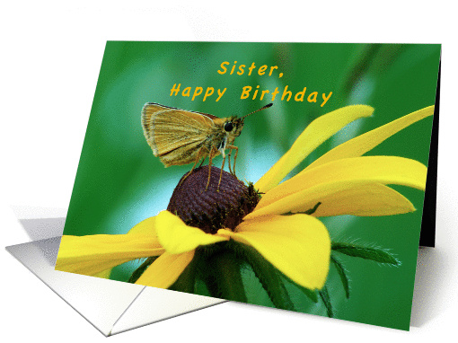 Sister, Happy Birthday, Skipper Butterfly on Brown eyed Susan card