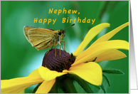 Nephew, Happy Birthday, Skipper Butterfly on Brown eyed Susan card