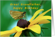 Great Grandfather, Happy Birthday, Butterfly on Brown eyed Susan card