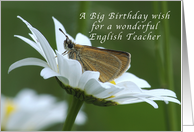 A Big Birthday Wish for a English Teacher, Butterfly in a White Daisy card