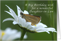 A Big Birthday Wish for a Daughter-in-law, Butterfly in a Daisy card