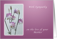 With Sympathy on your Loss of Your Mother, Columbine flowers card