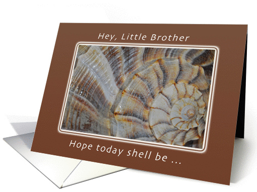 A Birthday Wish for a Little Brother, Shell card (1066531)