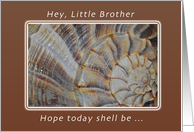 A Birthday Wish for a Little Brother, Shell card