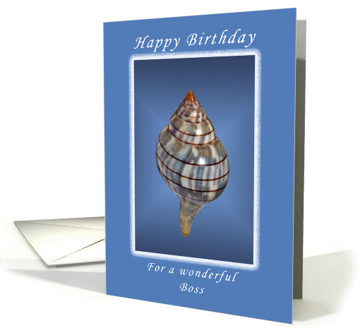 Happy Birthday for a Wonderful Boss, Seashell card (1080166)