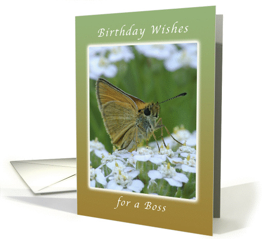 Happy Birthday, Boss, Butterfly on White Yarrow Flowers card (1081320)