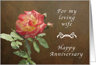 Happy Anniversary for Loving Wife, Rose with Textured Background card