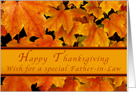 Happy Thanksgiving for Special Father-in-Law, Autumn Maple leaves card