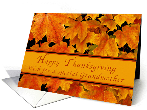Happy Thanksgiving for Special Grandmother, Autumn Maple leaves card