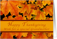 Happy Thanksgiving for Special Grandmother, Autumn Maple leaves card