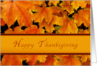 Happy Thanksgiving, Autumn Maple leaves card