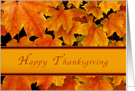 Happy Thanksgiving, Business, Autumn Maple leaves, card