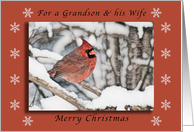 Merry Christmas for a Grandson and His Wife, Cardnial in the Snow card
