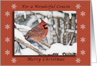 Merry Christmas for a Wonderful Cousin, Cardnial in the Snow card