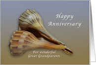 Happy Anniversary for Wonderful Great Grandparents, Seashells card