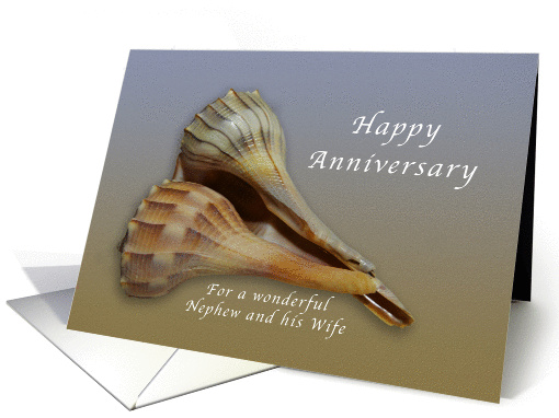 Happy Anniversary for a Wonderful Nephew and His Wife, Seashells card