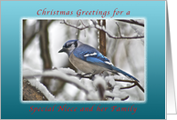 Christmas Greetings for Niece and Her Family, Bluejay in Snow card