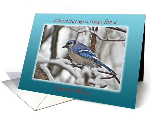 Christmas Greetings for a Niece, Bluejay in Snow card (1126400)