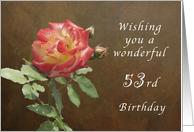 Wishing You a Wonderful 53rd Birthday, Red and Yellow Thornridge Rose card