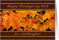 Happy Thanksgiving Wishes for a Goddaughter, Maple Leaves card