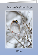 Season’s Greetings Mom, White-Throated Sparrow card