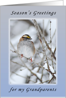 Season’s Greetings My Grandparents, Sparrow card