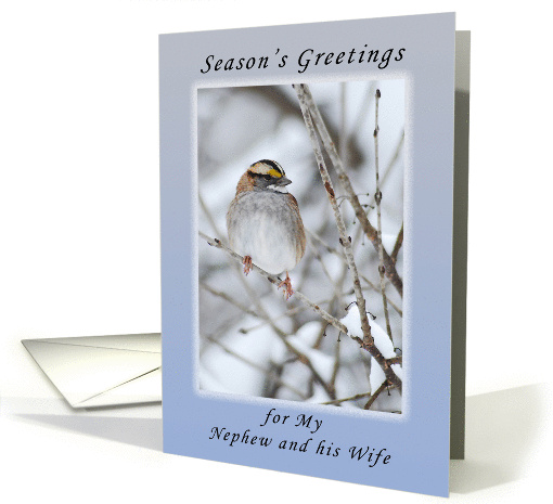 Season's Greetings My Nephew and His Wife, Sparrow in the Winter card