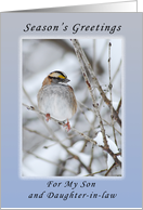 Season’s Greetings My Son and Daughter-in-Law, Sparrow in the Winter card