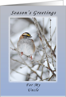 Season’s Greetings My Uncle, Sparrow in the Winter card