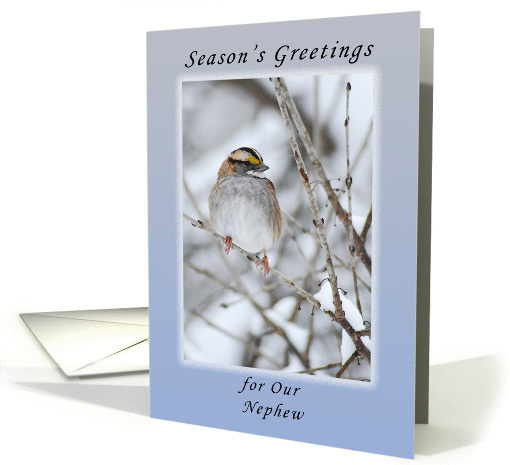 Season's Greetings Our Nephew, Sparrow in the Winter card (1134290)