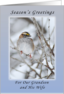 Season’s Greetings Our Grandson and His Wife, Sparrow card