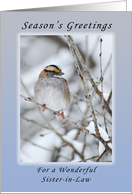 Season’s Greetings a Wonderful Sister-in-Law, Sparrow card