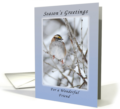 Season's Greetings a Wonderful Friend, Sparrow card (1134788)