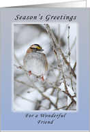 Season’s Greetings a Wonderful Friend, Sparrow card
