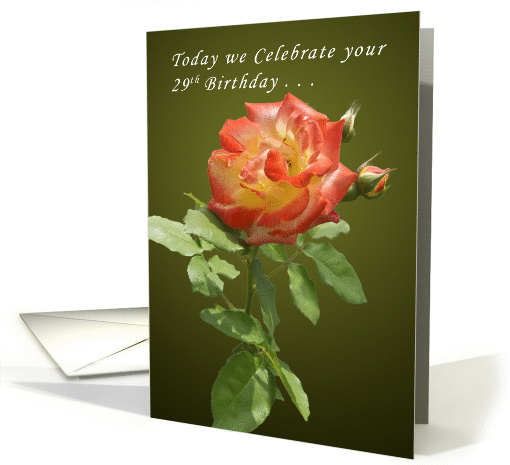 Today we Celebrate your 29th Birthday Again, Rose card (1135866)