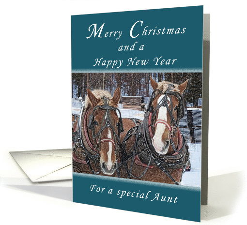 Merry Christmas and Happy New Year, for a Special Aunt,... (1136886)