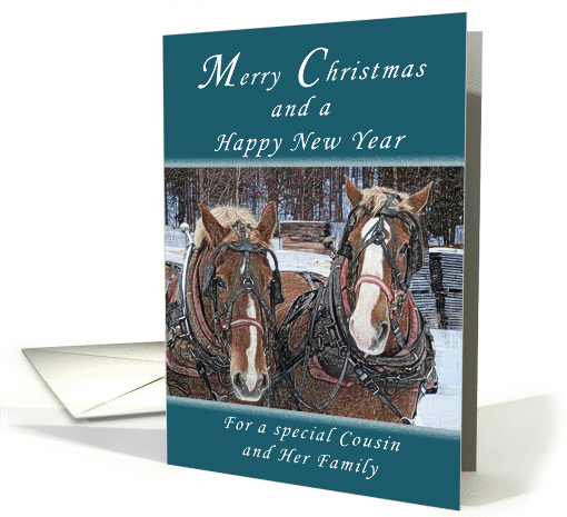 Merry Christmas and Happy New Year, Cousin and Family,... (1136912)