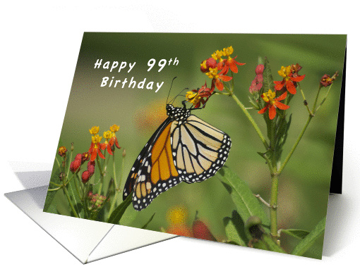 Happy 99th Birthday, Monarch Butterfly on Red Milkweed Flowers card