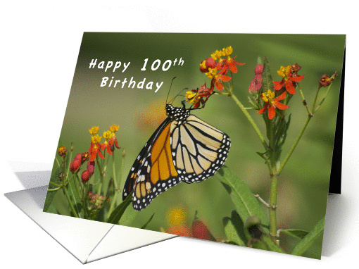 Happy 100th Birthday, Monarch Butterfly on Red Milkweed Flowers card