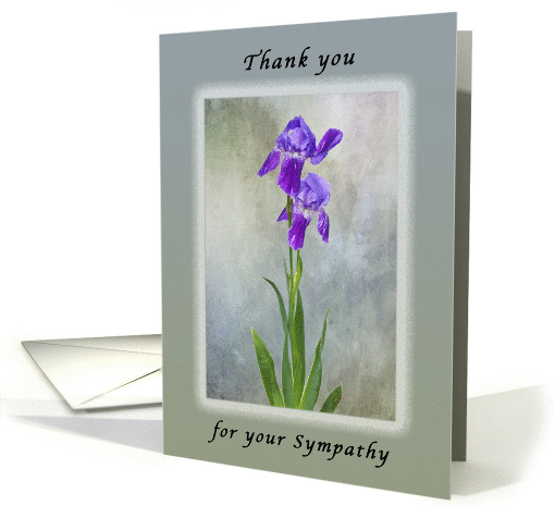 Thank You For Your Sympathy, Purple Iris with Textured Background card