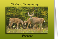 Happy Belated Birthday, for a Brother, Deer card