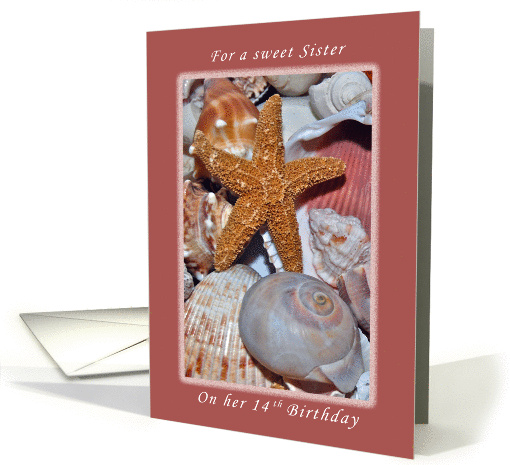 For a Sweet Sister on Her 14th Birthday, Starfish and Seashells card