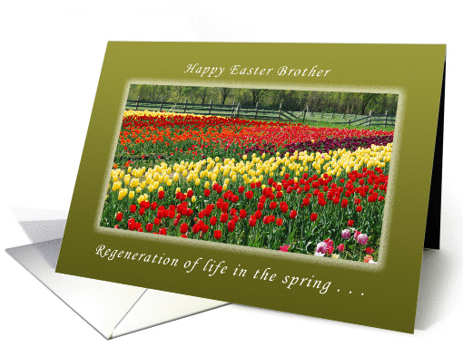 Happy Easter, Brother, The Resurrection and New Life card (1151192)