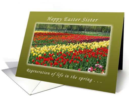 Happy Easter, Sister, The Resurrection and New Life card (1151378)