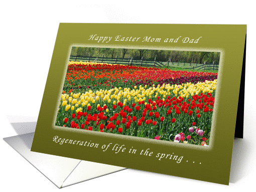 Happy Easter, Mom and Dad, The Resurrection and New Life card