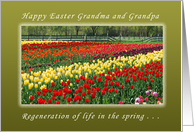 Happy Easter, Grandma and Grandpa, The Resurrection and New Life card