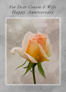 Happy Anniversary, for a dear Cousin and his Wife , Fresh Rose