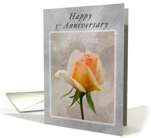 Happy 1st Anniversary, Fresh Rose on a Textured Background card